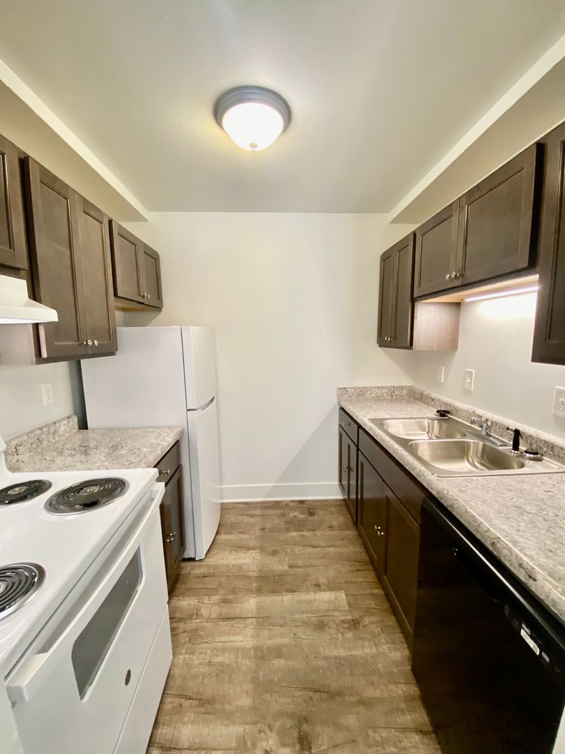 Ypsilanti Apartment: 311 Jarvis St.