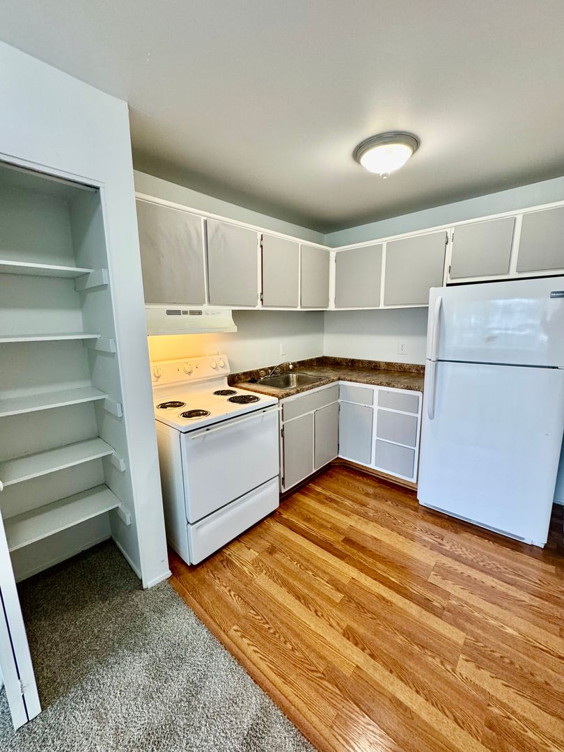 Ypsilanti Apartment: 334 Jarvis