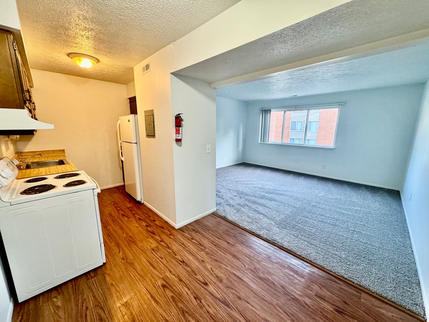 Ypsilanti Apartment: 308 Jarvis St.