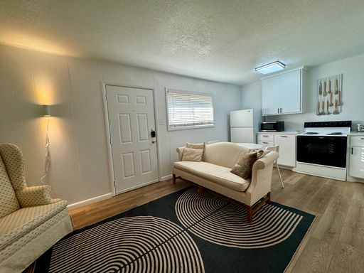 Furnished Apartment, Straight Shot to Hendrick, Across from ACU – photo 1