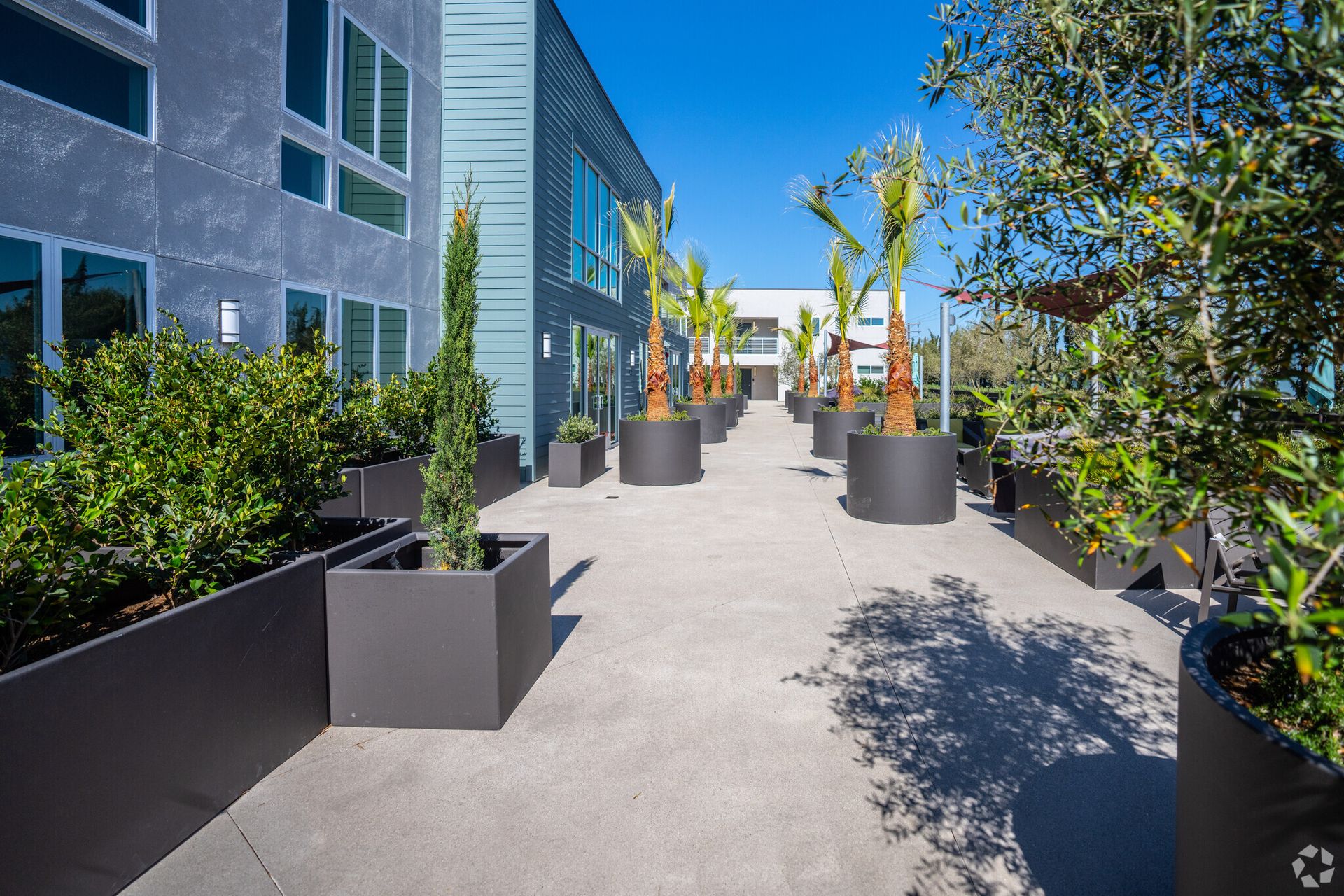 Torrance Apartment: 1978 W. Carson Street