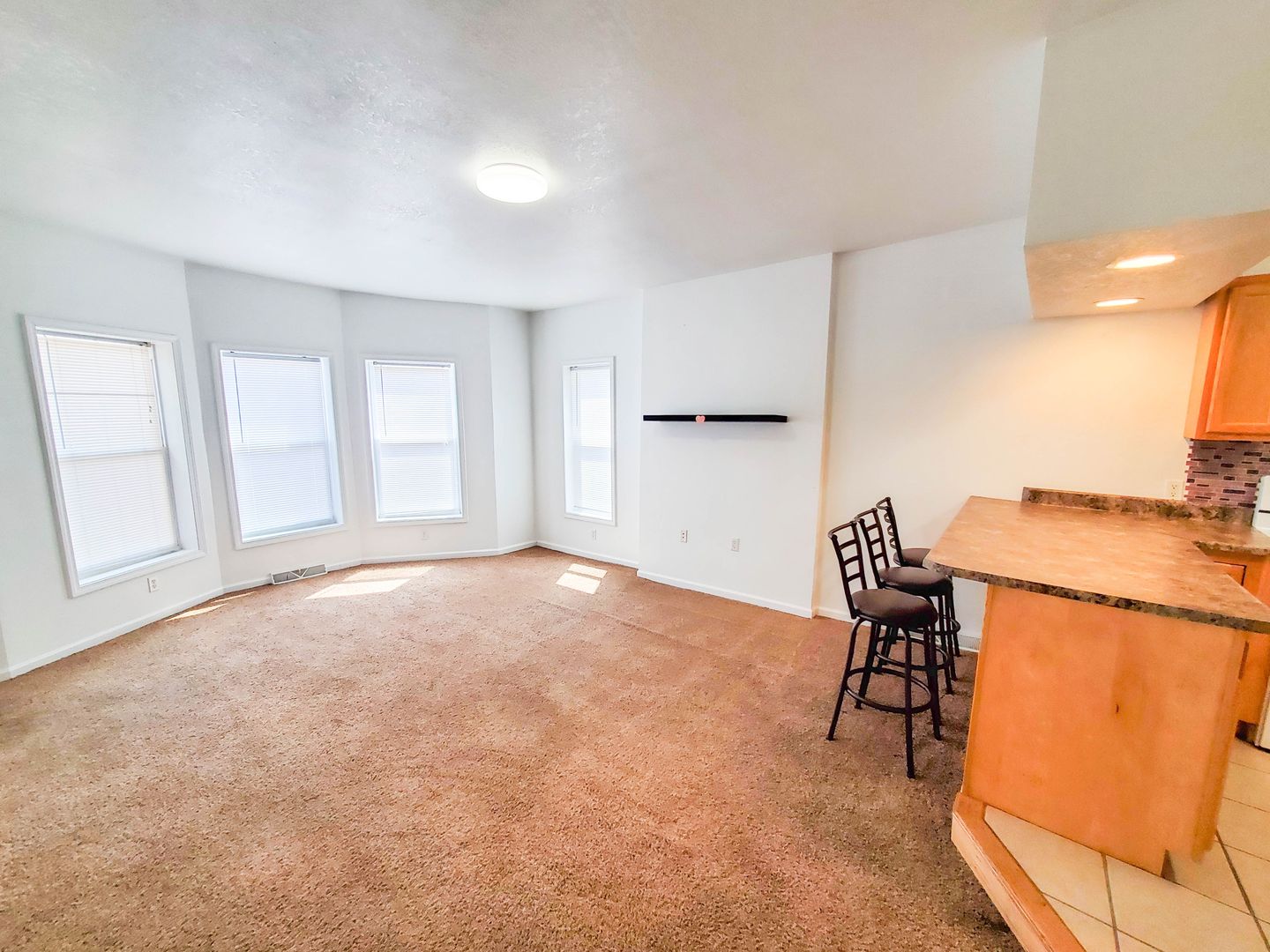 Erie Apartment: 818 Sassafras Street