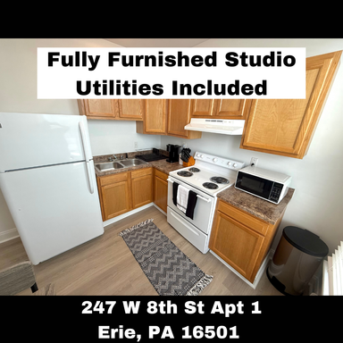 Fully Furnished Apartment in Downtown Erie, PA. – photo 1
