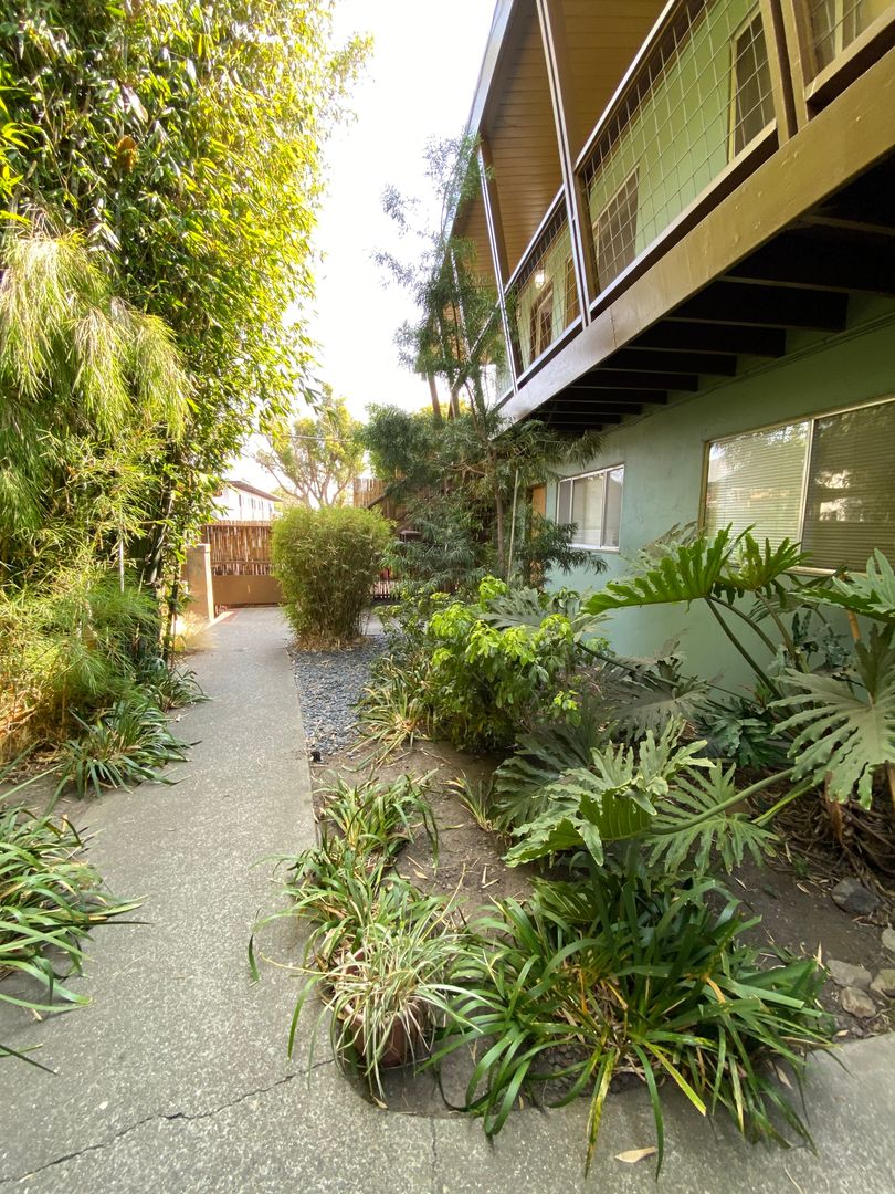 Berkeley Apartment: 1621 Blake street