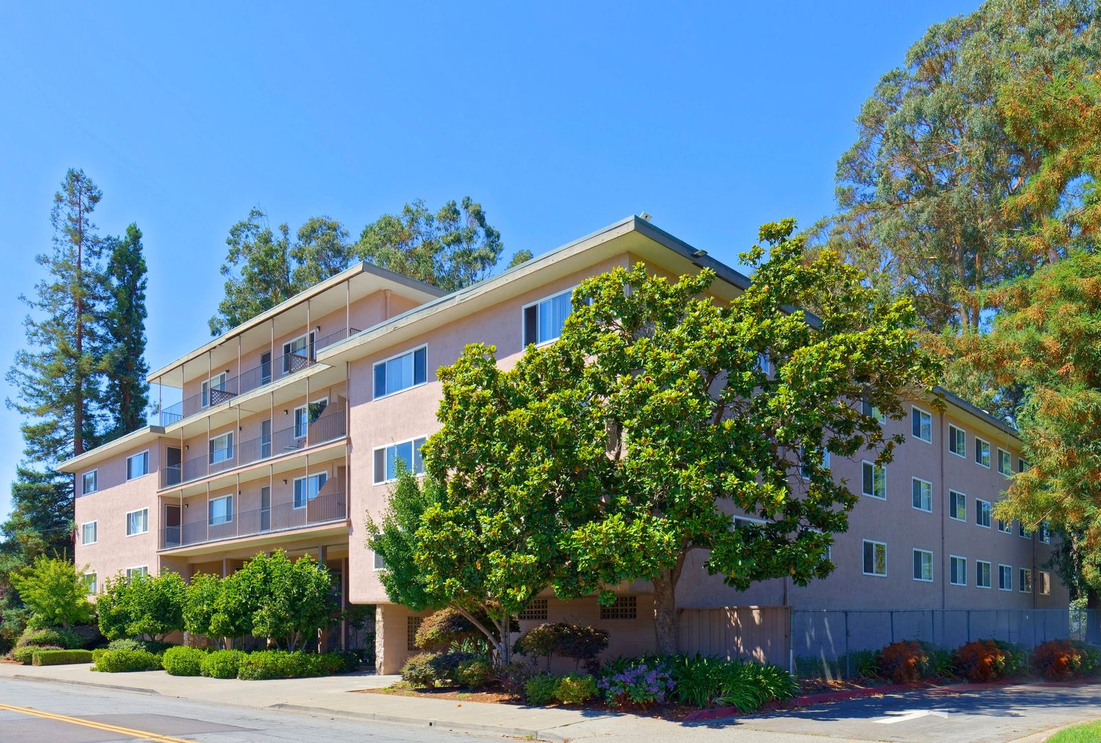 San Leandro Apartment: 540 Callan Ave