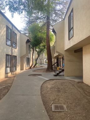 The Franciscan #12 – photo 1