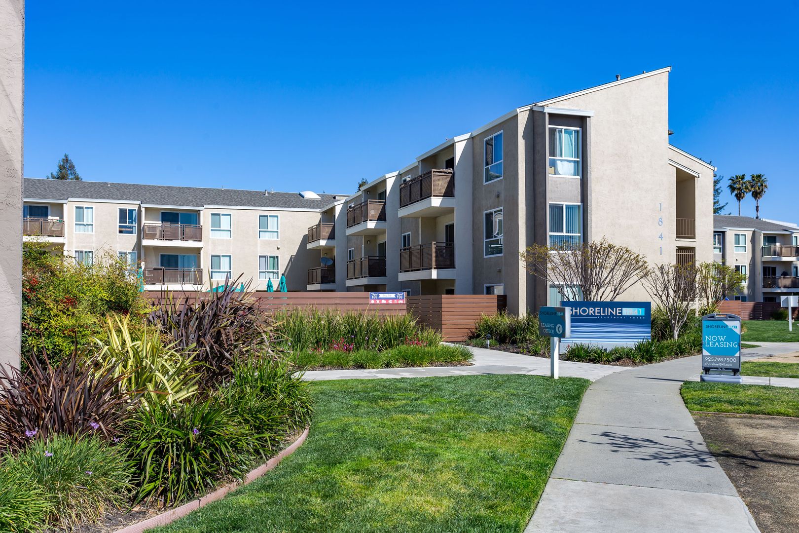 Concord Apartment: 1841 Laguna Street