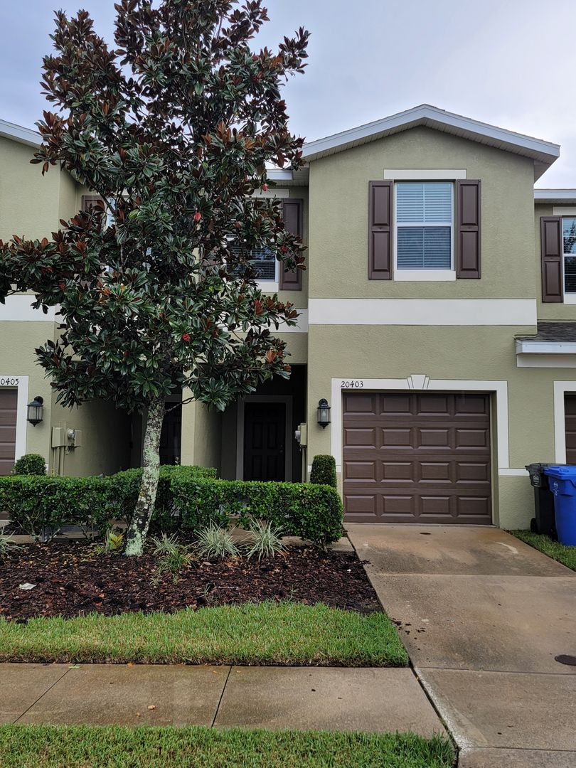 Tampa Townhome: 20403 Berrywood Lane