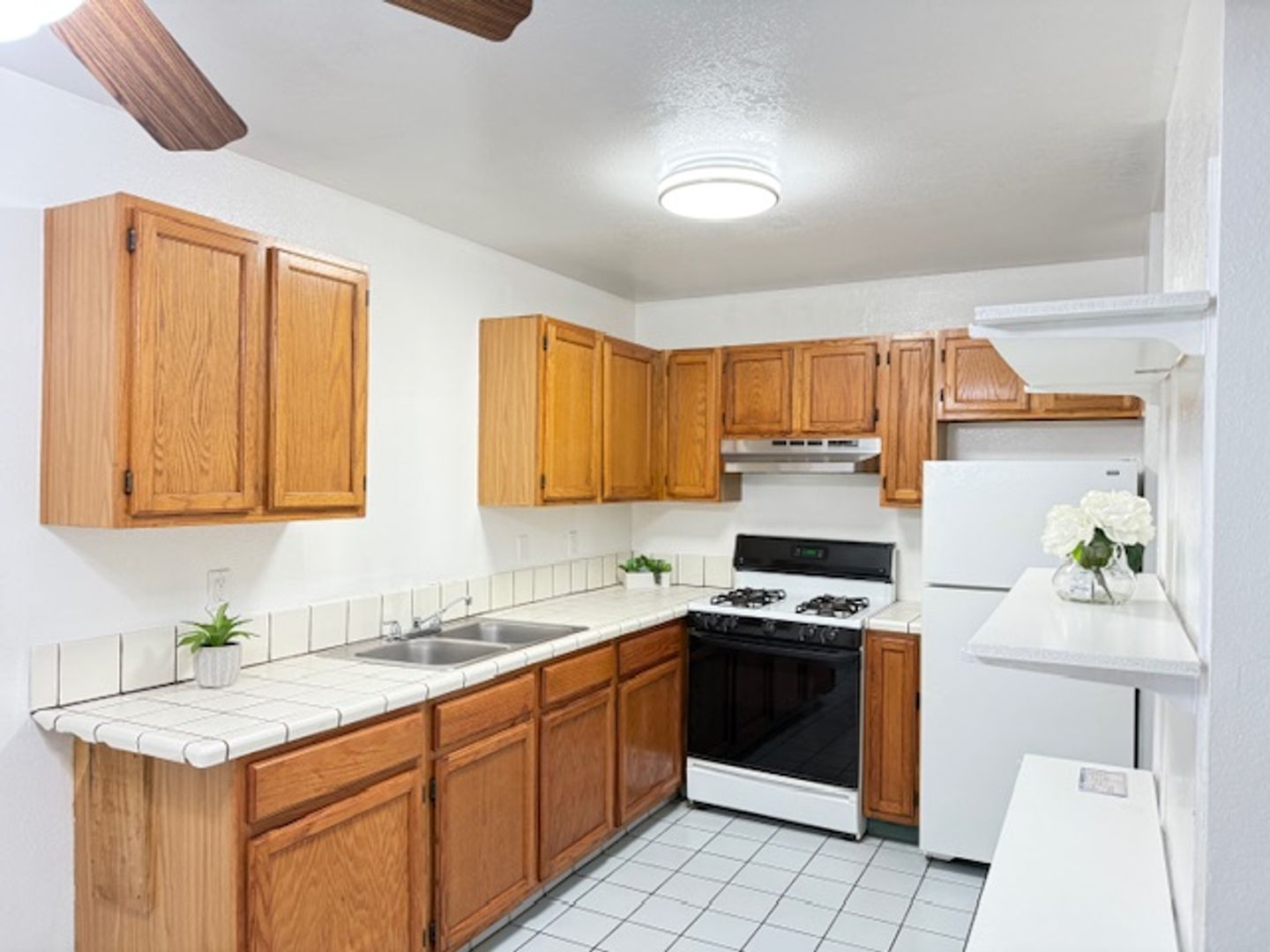 Berkeley, CA Apartment: 1800 6th St