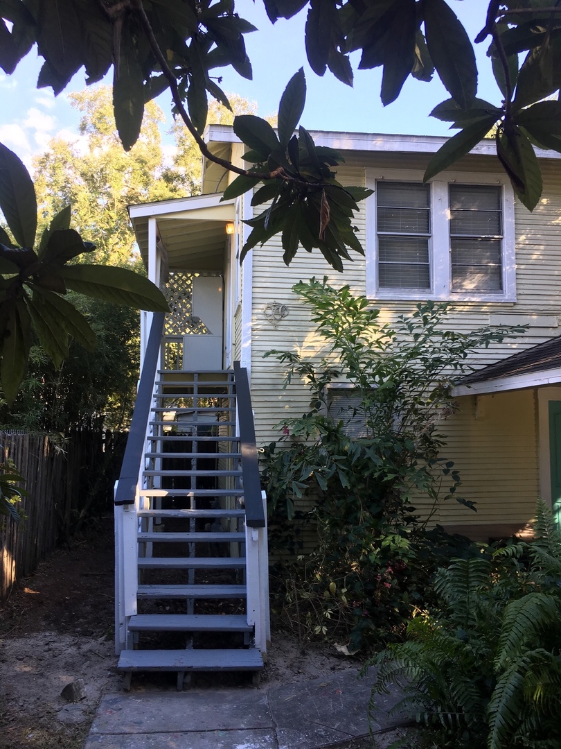 Tampa Apartment: 207 N Albany St