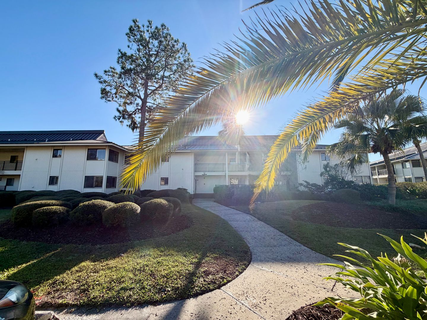 Wesley Chapel Condo: 29230 Bay Hollow Dr