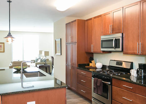 Luxury 3 Bedroom Apartment at 1201 S Charles – photo 1