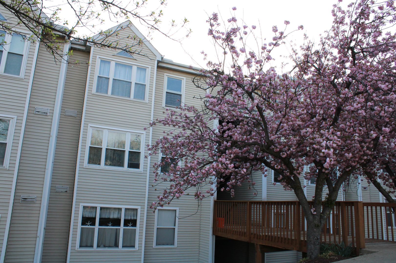Halethorpe Condo: 20 Deer Run Ct Unit H
