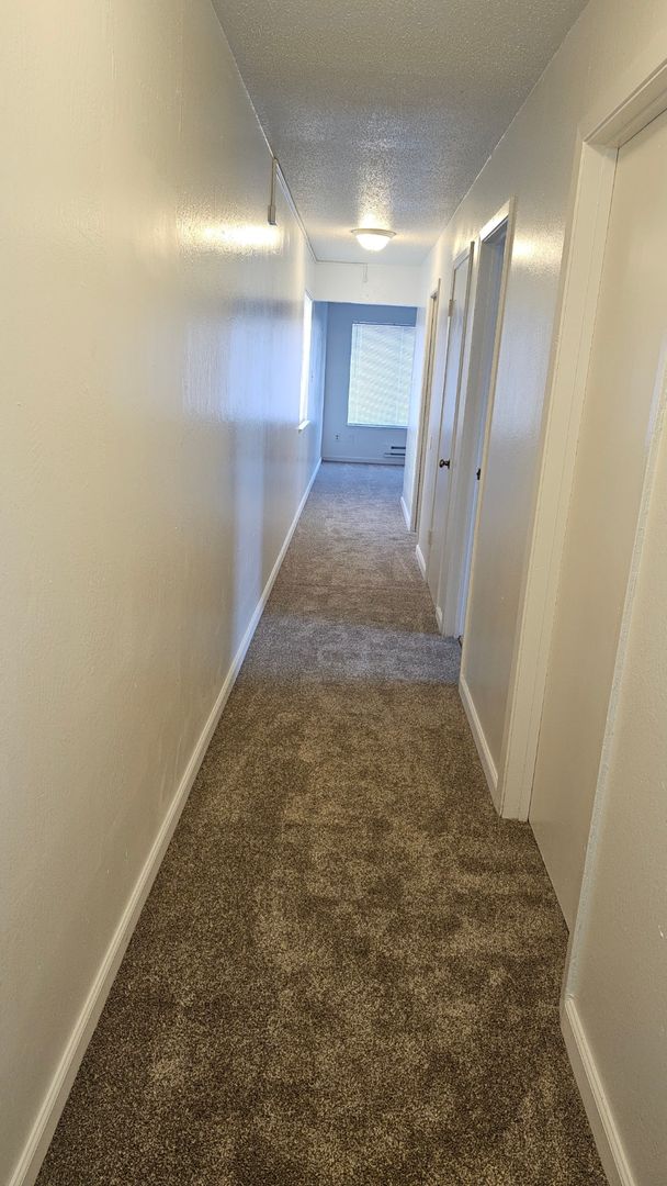 San Francisco Apartment: 330 Alemany