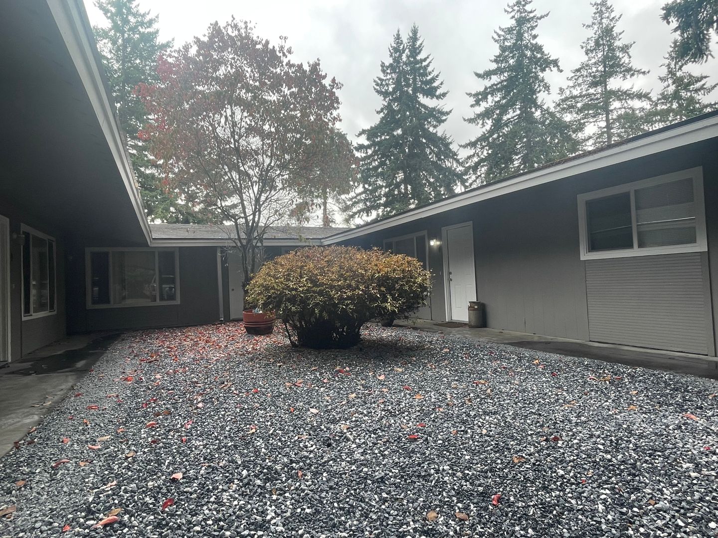 Olympia Apartment: 1122 Neil Street NE