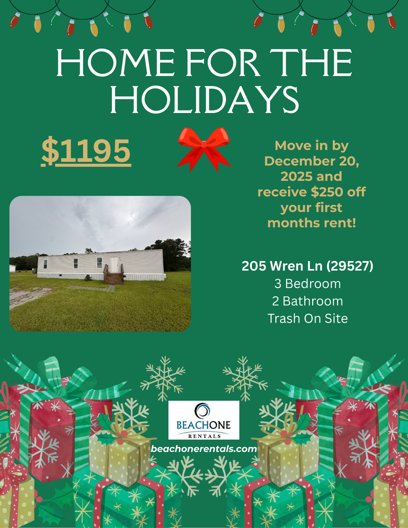 Conway Apartment: Wren Lane