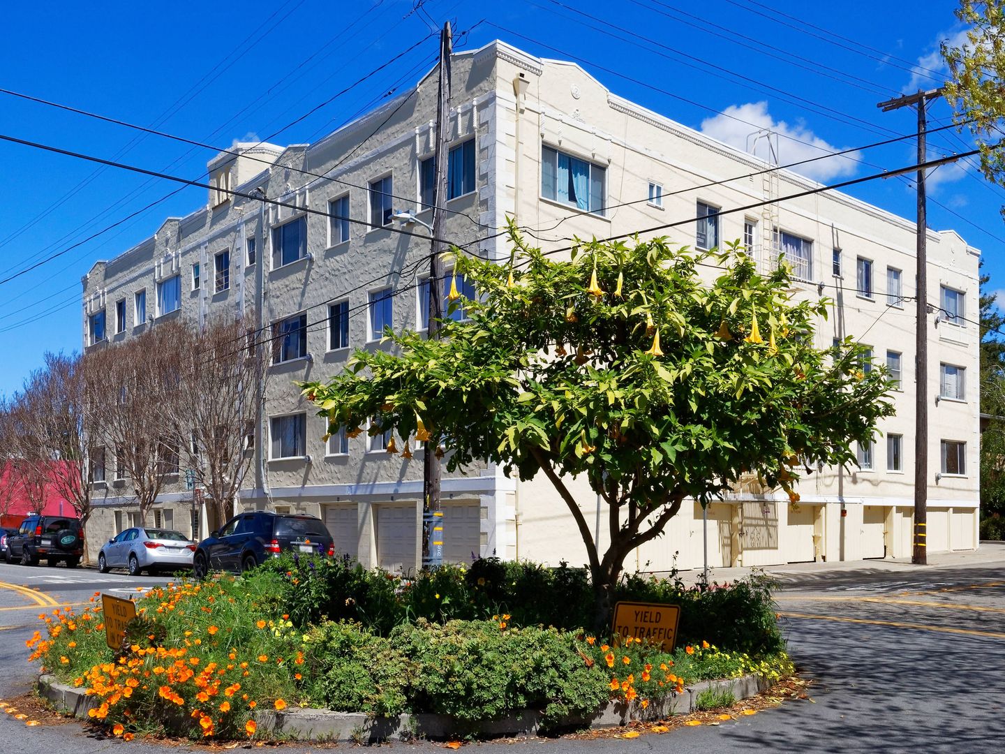 Berkeley Apartment: 2091 California Street
