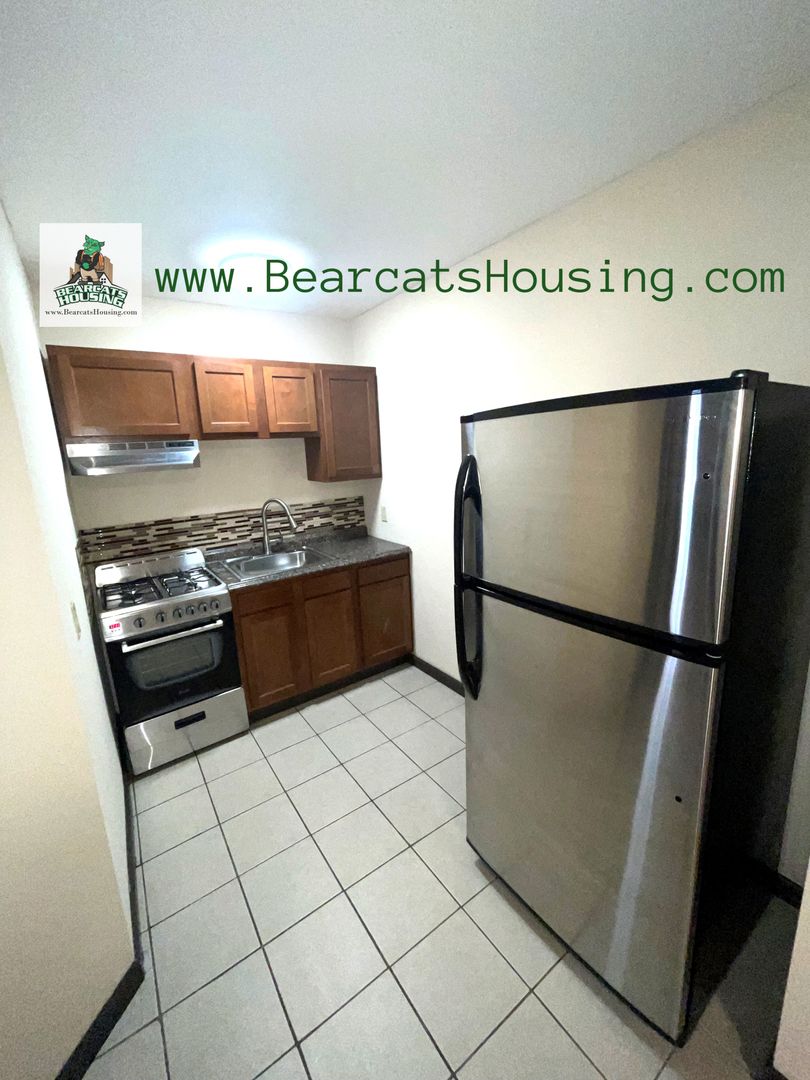 Binghamton Apartment: 1 Mather St.