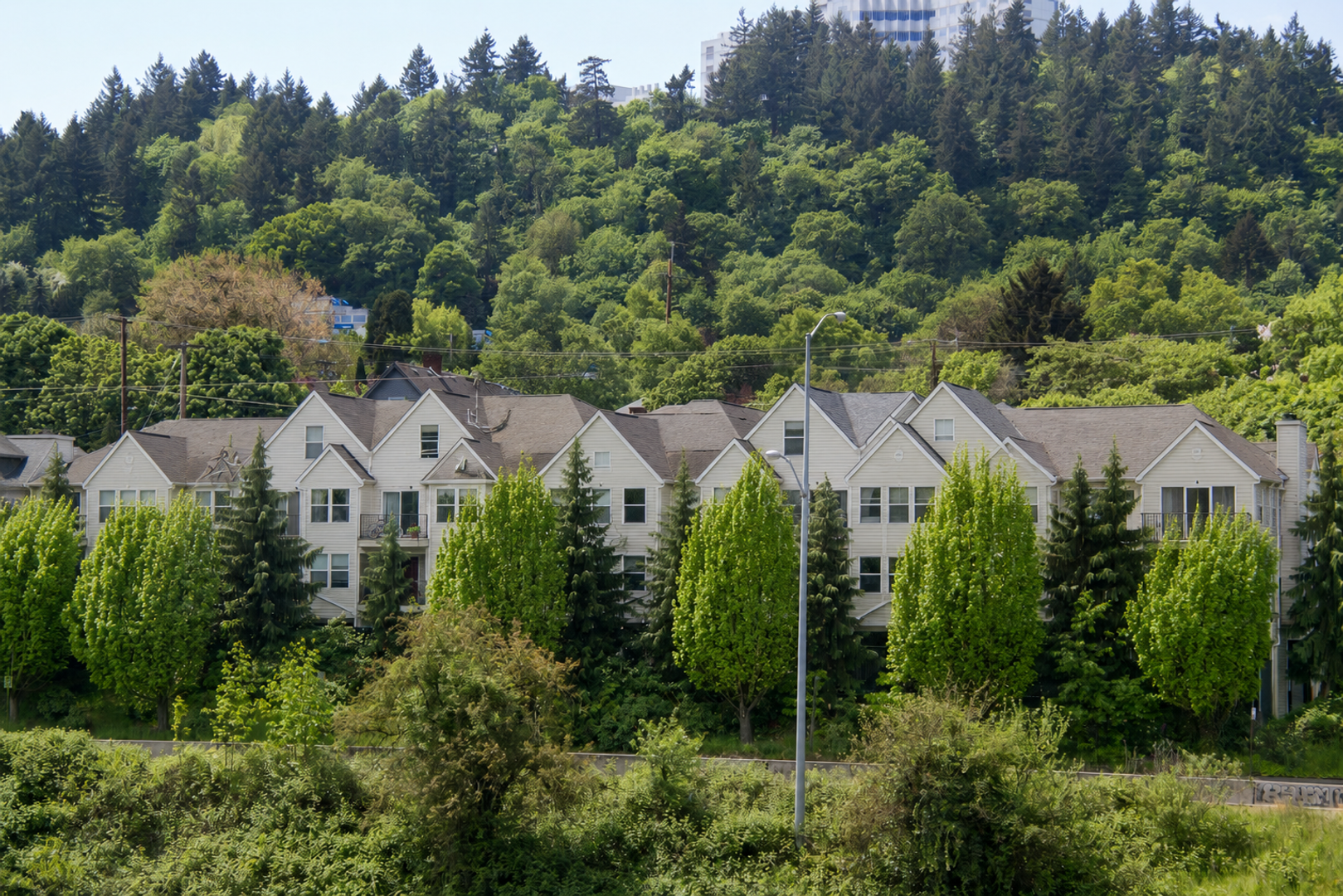 Portland Apartment: 329 S Whitaker St.