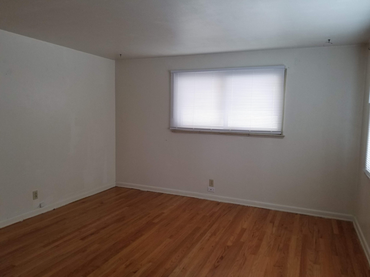 Cheyenne Apartment: 1807 Fremont Ave