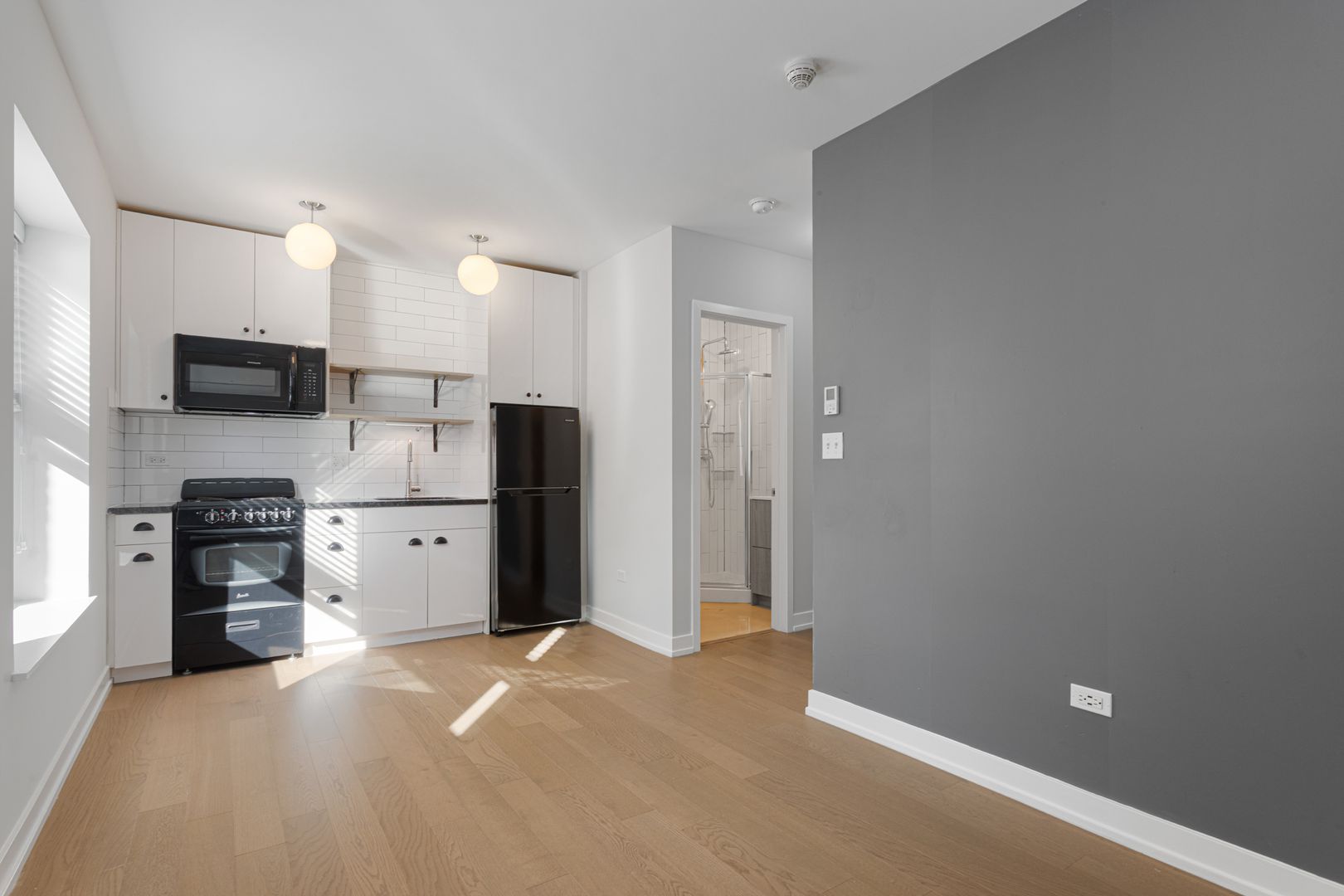 Chicago Apartment: 6019 N Winthrop Avenue