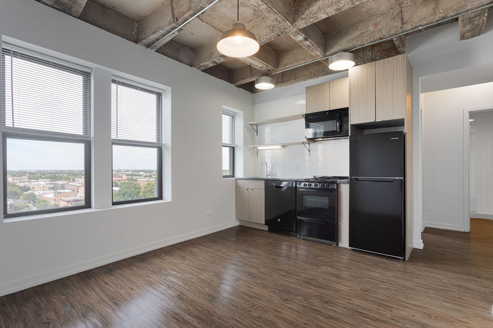 Chicago Apartment: 1325 W Wilson Avenue