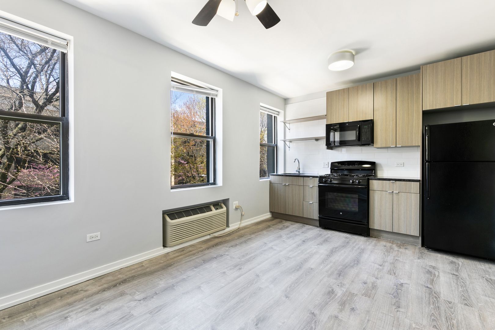 Chicago Apartment: 4875 N Magnolia Ave