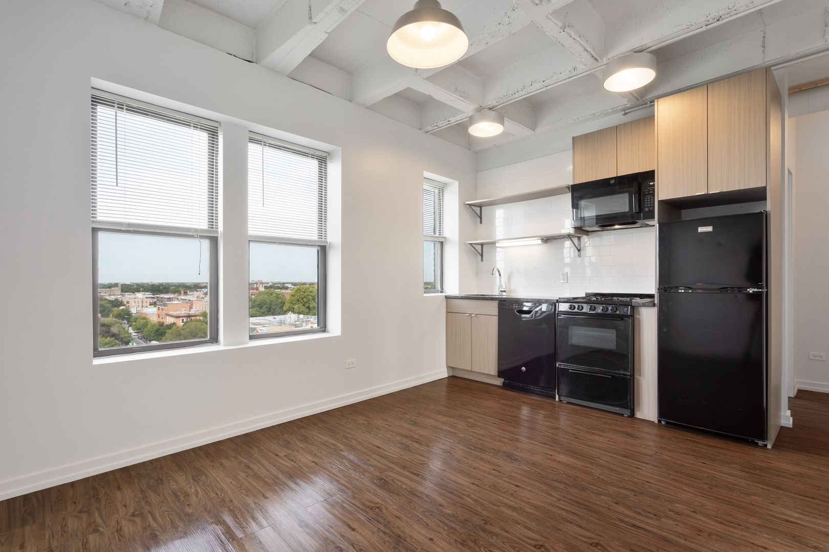 Chicago Apartment: 1325 W Wilson Avenue