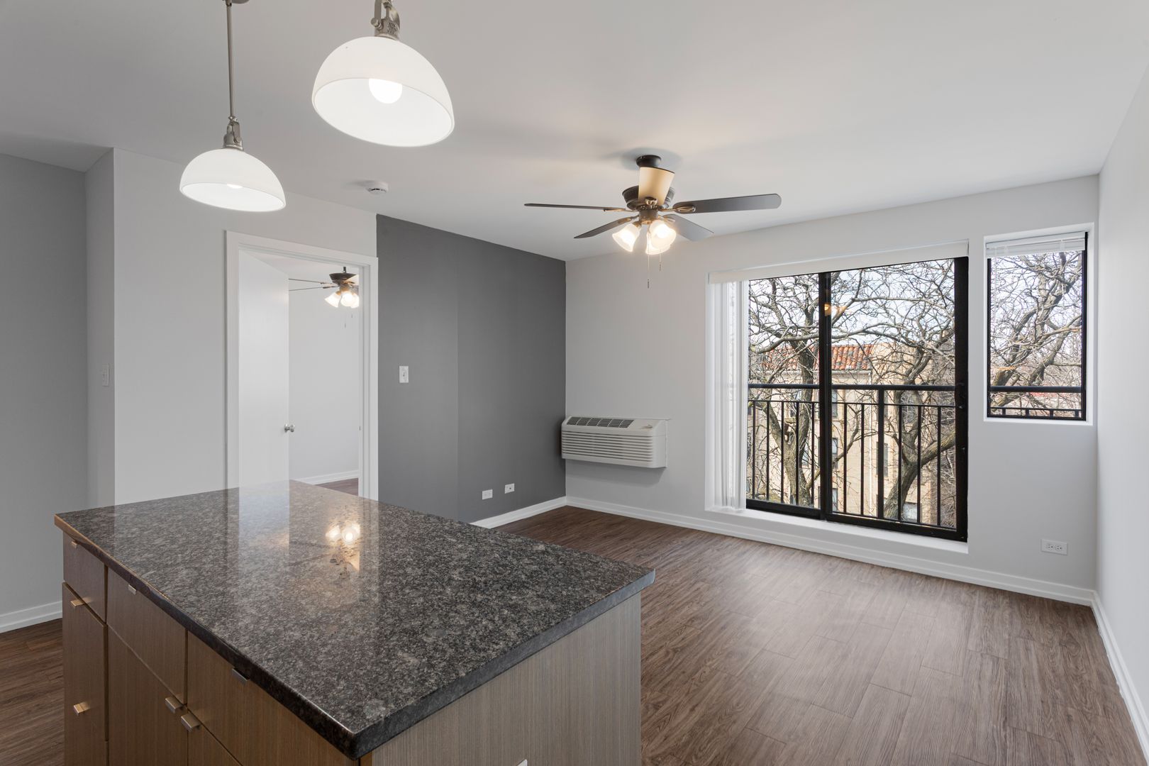 Chicago Apartment: 5411 N Winthrop Avenue