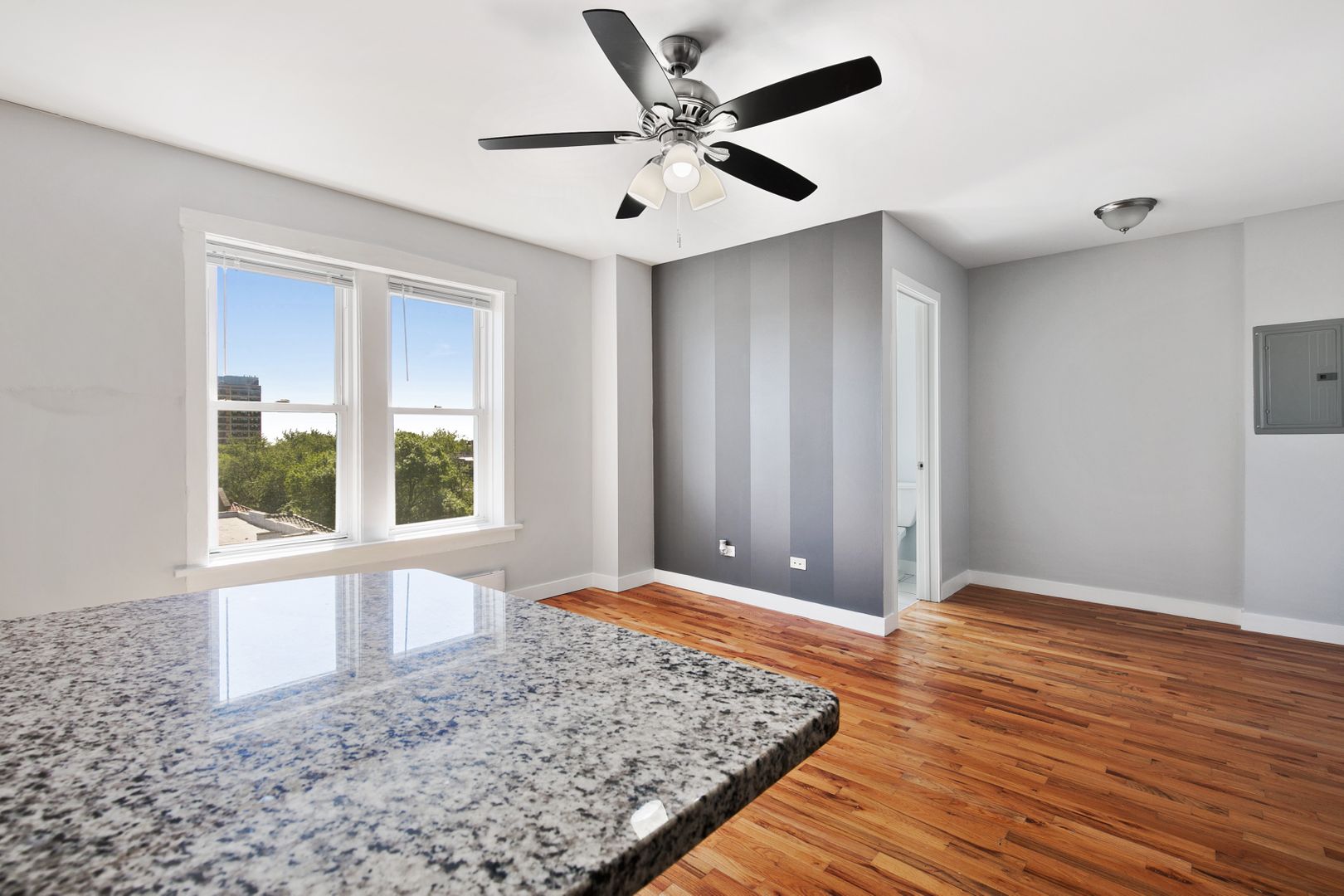 Chicago Apartment: 7450-7456 N Greenview Ave