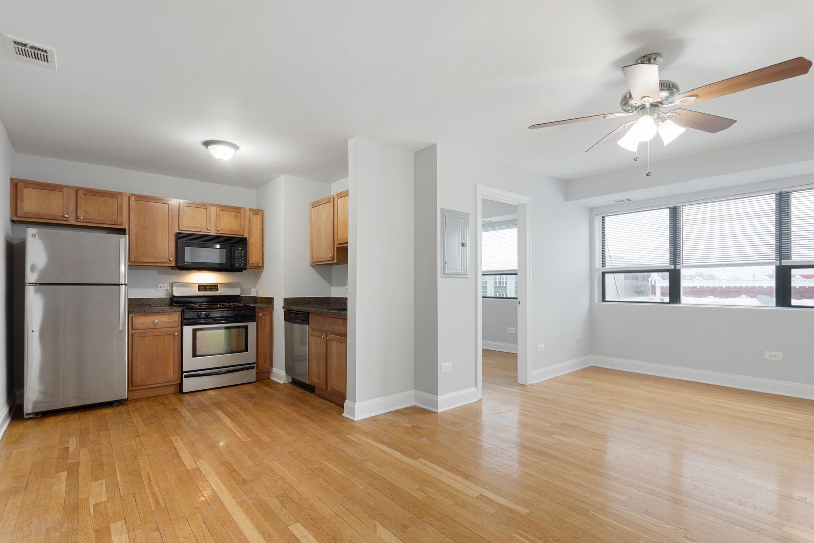 Chicago Apartment: 7616 N Marshfield Ave