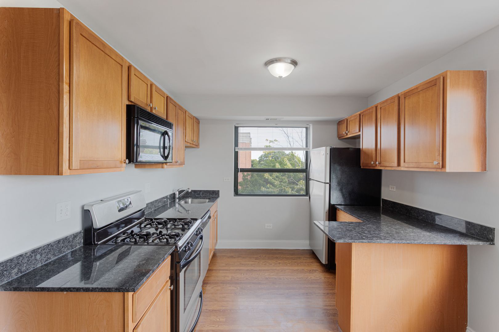 Chicago Apartment: 7616 N Marshfield Ave