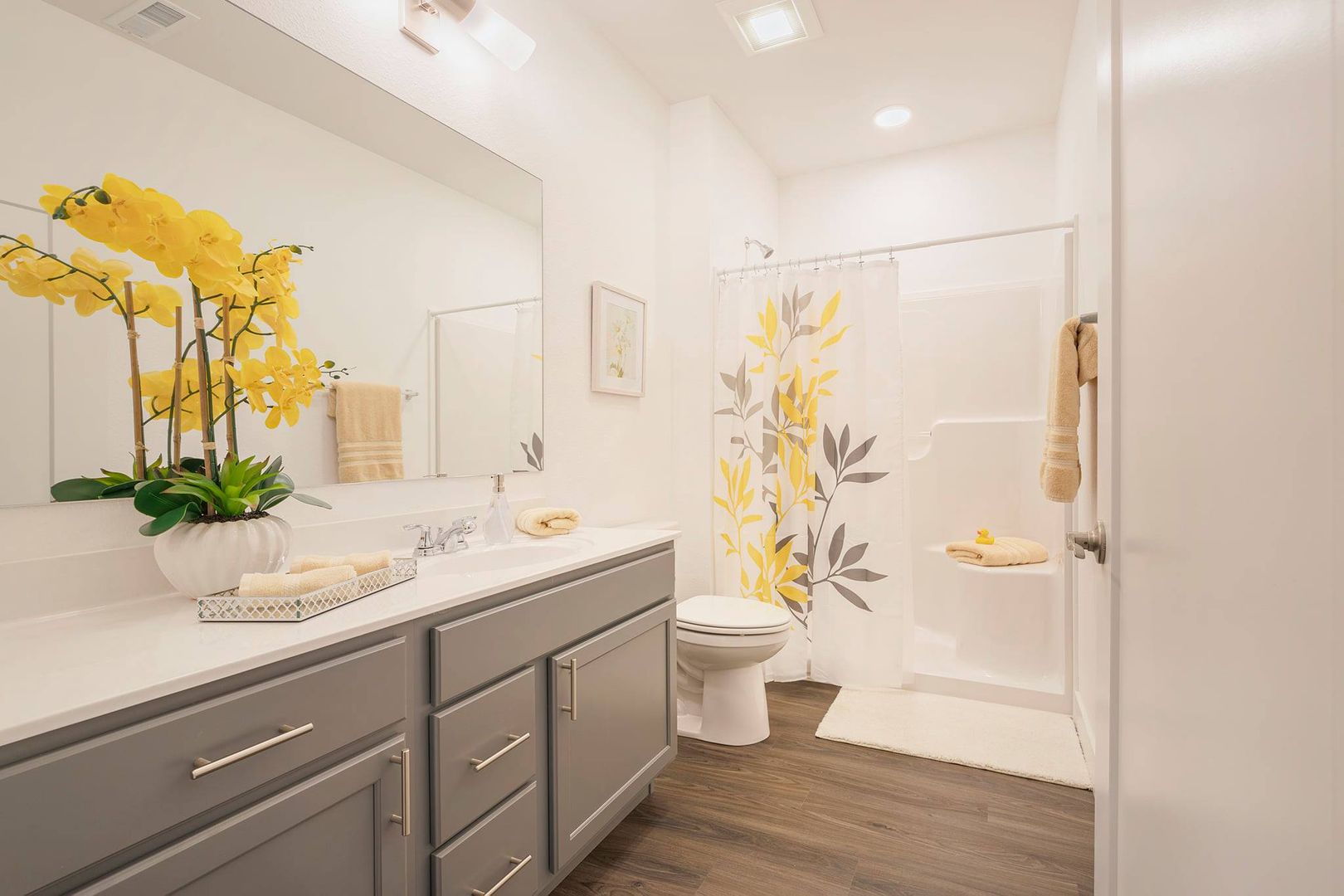 801 Bend Blvd, East Moline, IL 61244