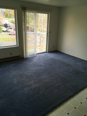 1 Bedroom near WWU – photo 1