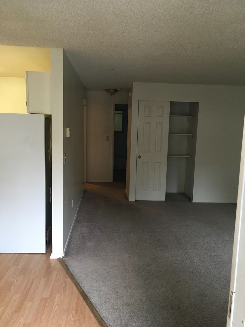 Bellingham Apartment: 800 Liberty St