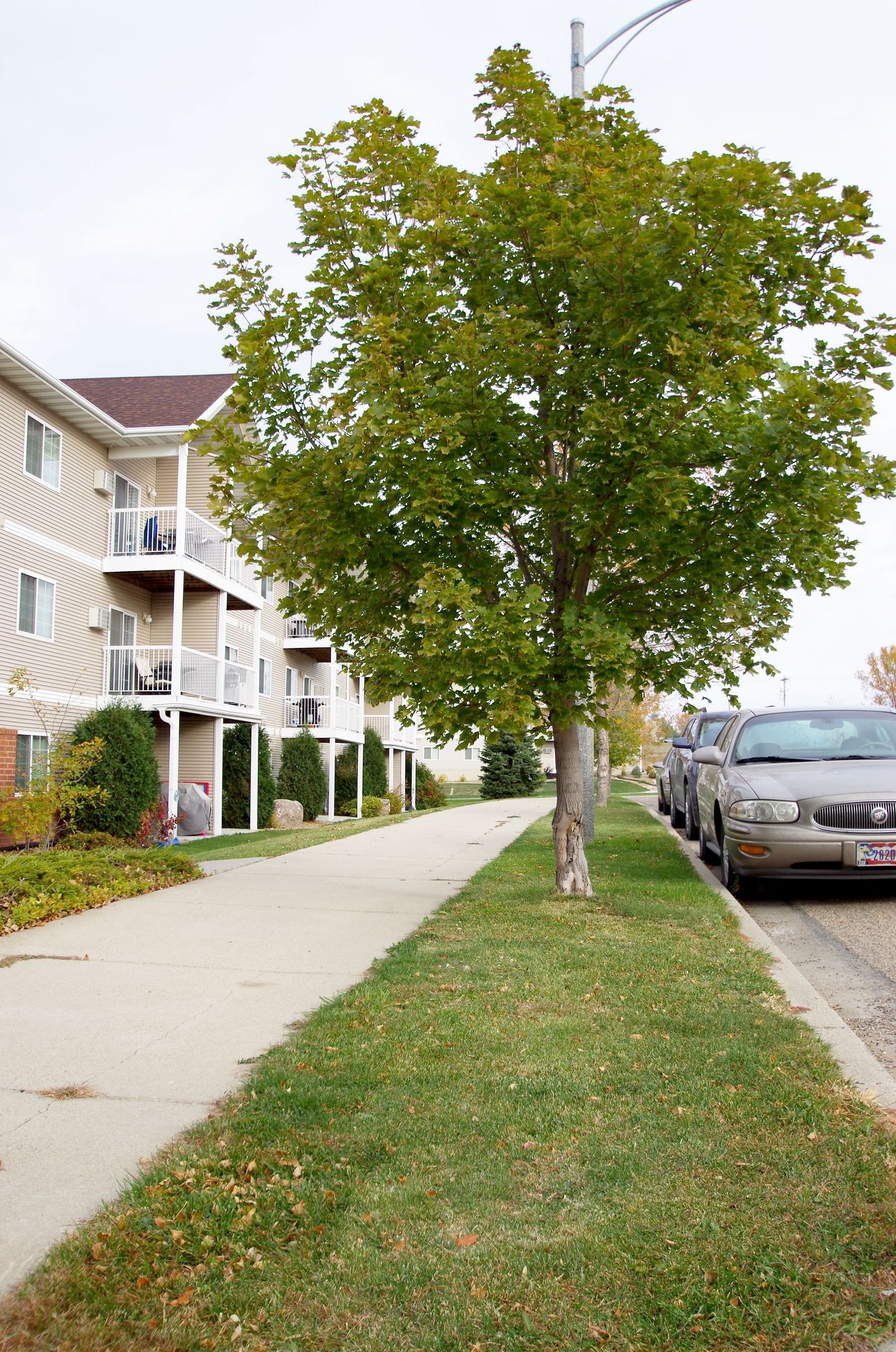 Bismarck Apartment: 2112-2113 Grimsrud Drive