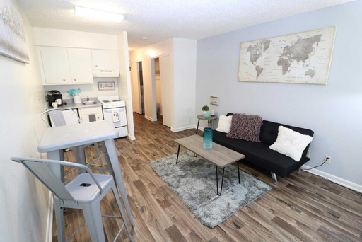 Remodeled Large Studio w/ Breakfast Bar and additional storage – photo 1