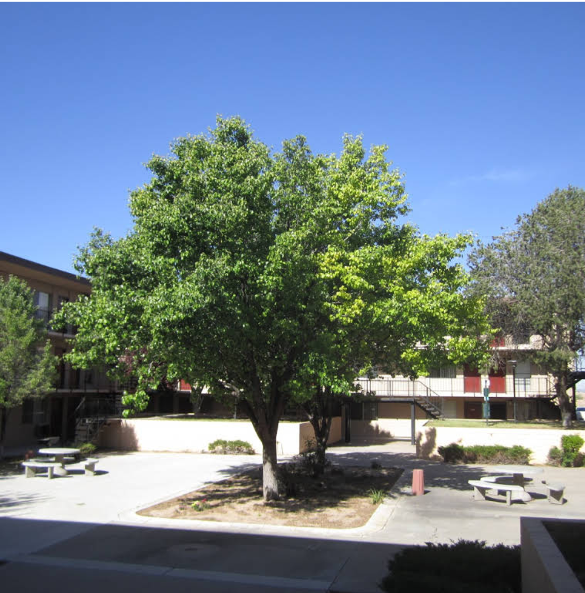 Villas at Uptown 12 of 12