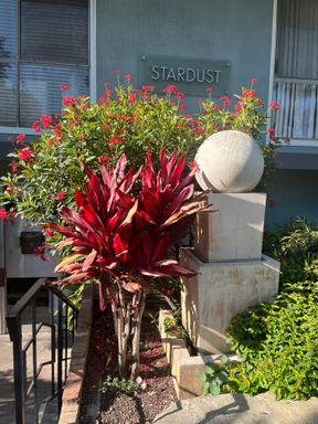 1 Bedroom Condo with parking for Lease – photo 1