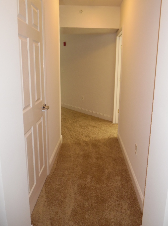 Richmond Apartment: 515 West Franklin Street