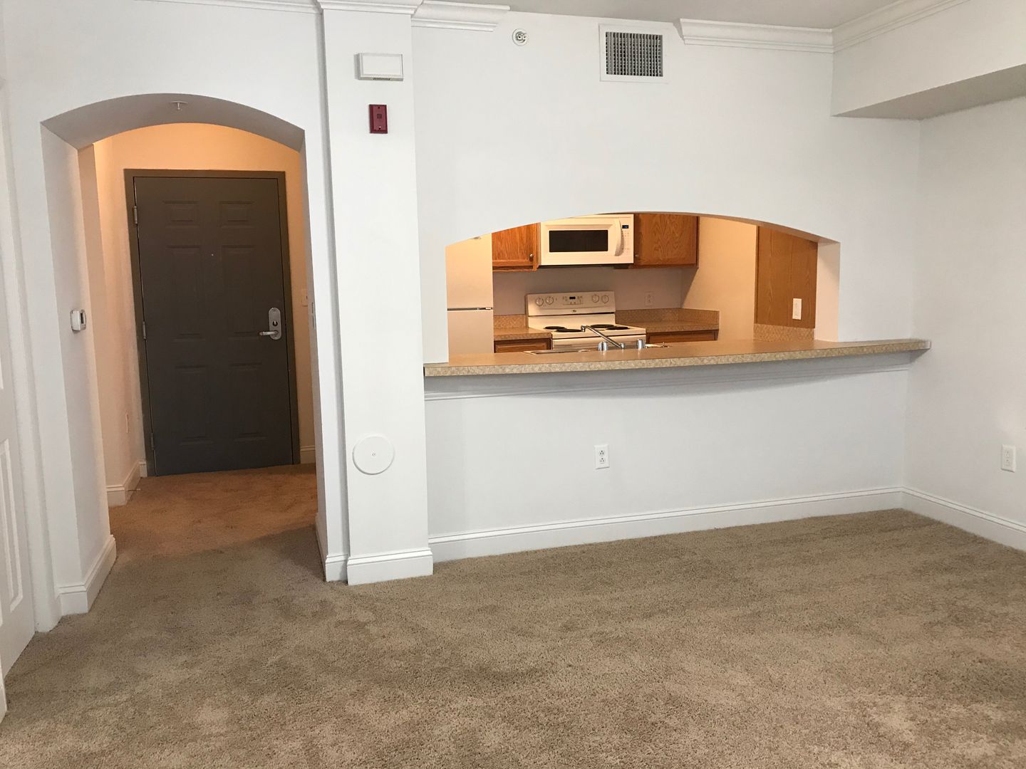 Richmond Apartment: 515 West Franklin Street