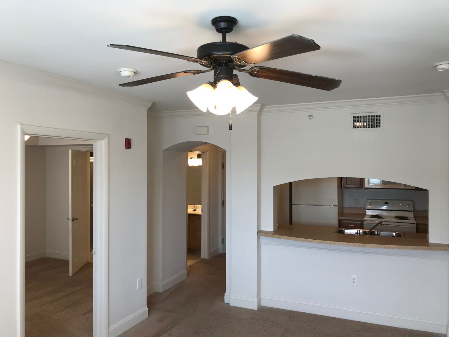 Richmond Apartment: 515 West Franklin Street