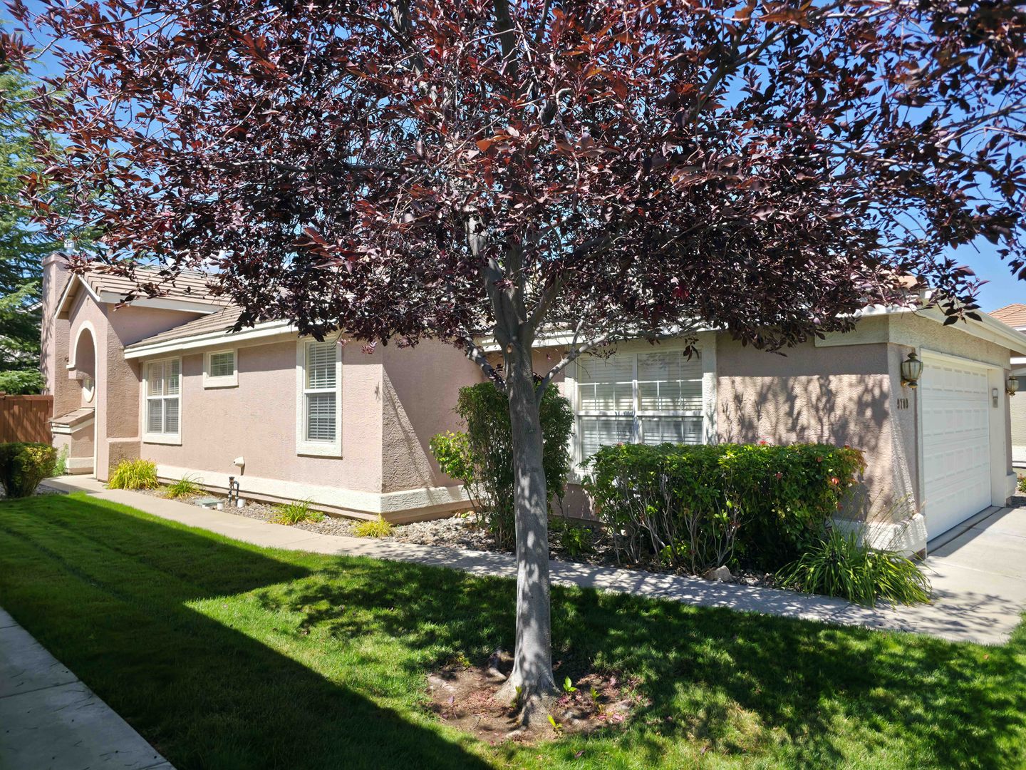 Reno House: 9709 Cattail Circle