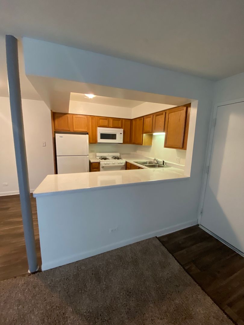 University Park Apartment: 871 Burnham Dr