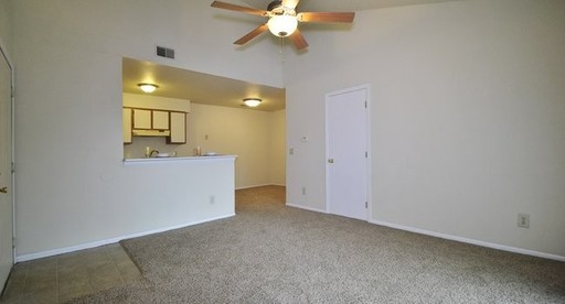 1 Bed 1 Bath