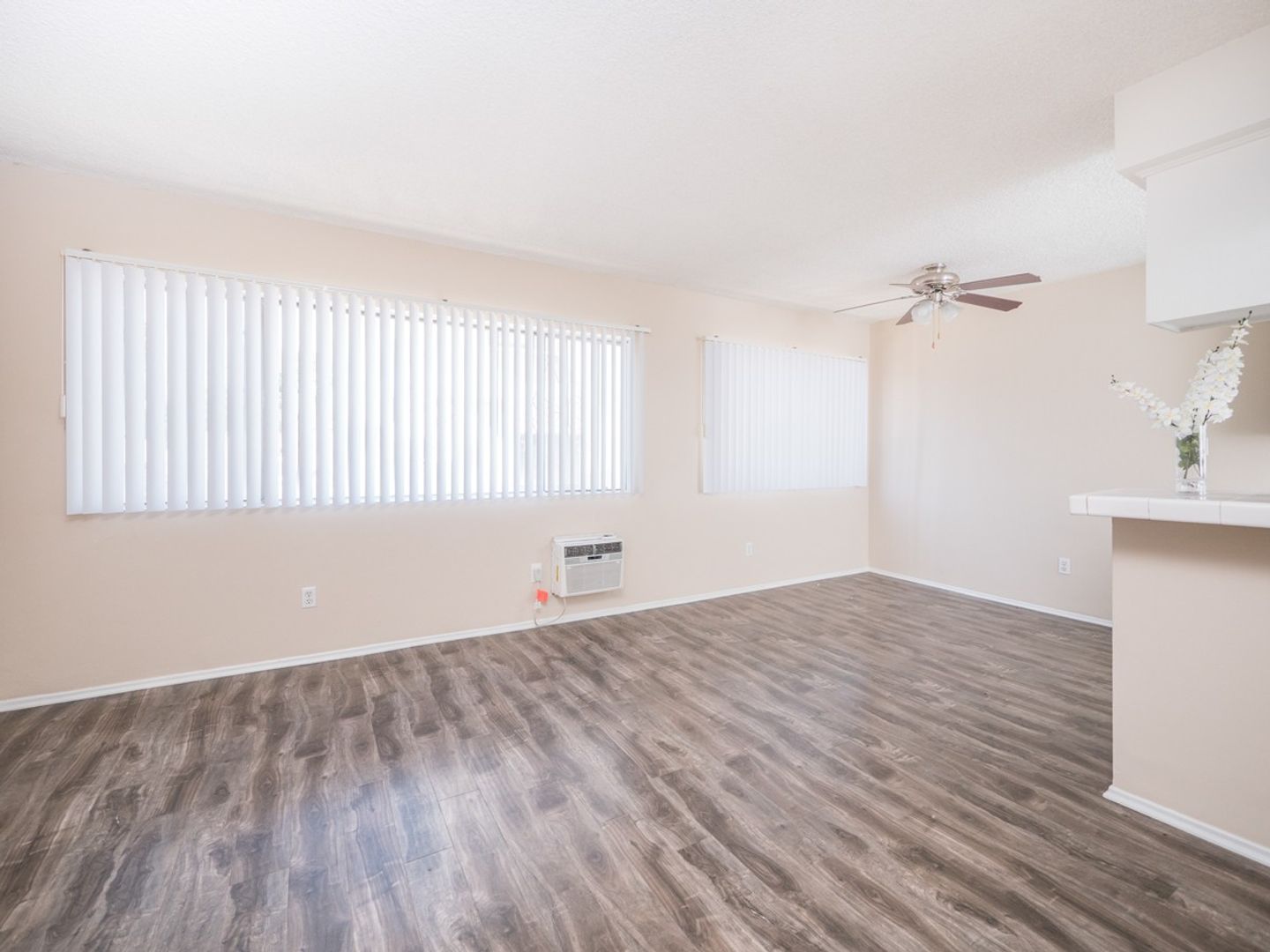 Los Angeles Apartment: 817 S. St. Andrews Pl.