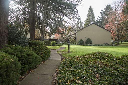 Spacious One Bedroom with abundant space! – photo 1