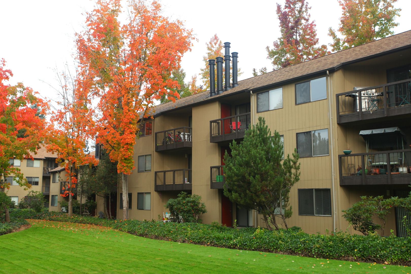 Eugene Apartment: 1800 Cal Young Road