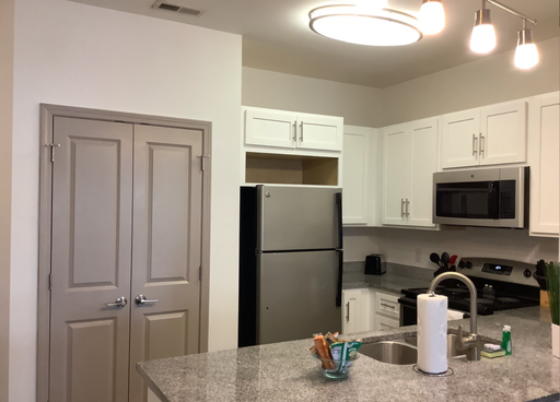 Modern Living in Greensboro – photo 1