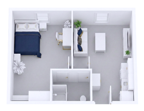 Private Large Studio Suite – Spacious Solo Living ($500/mo)